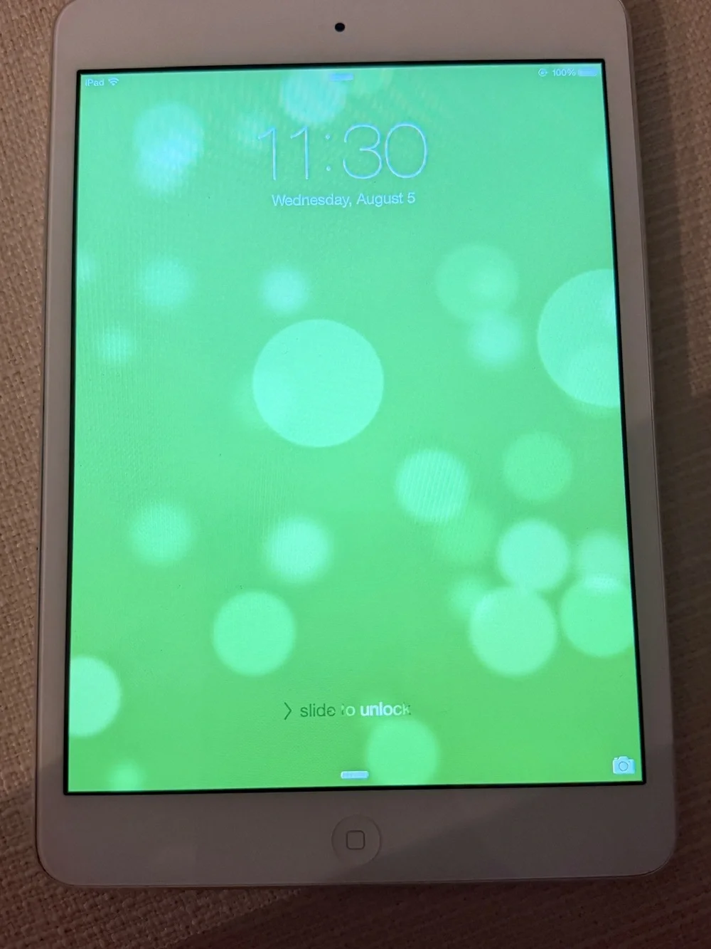 Apple iPad in Silver